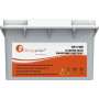 Аккумулятор FelicityESS LiFePO4 FLA12171-EU 12.8V 2.kWh. BMS 100А (CAN / RS485)