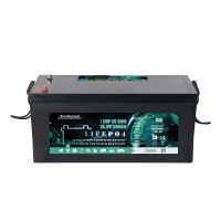 Аккумуляторная батарея EverExceed LDP 12-200 (12.8V200AH) LiFePO4