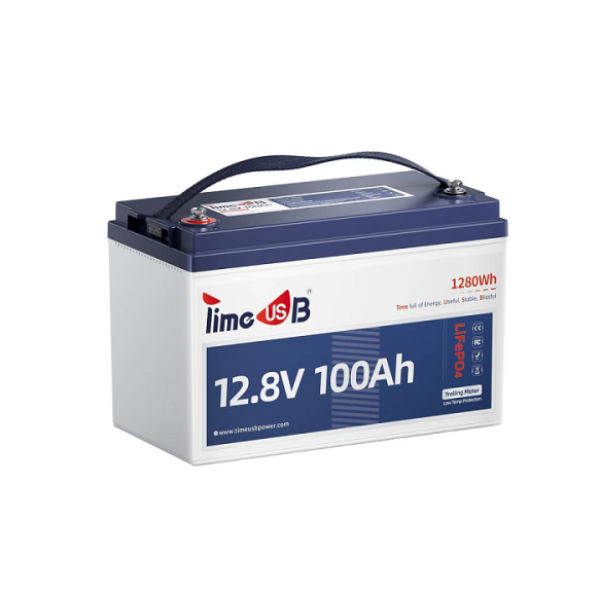  Акумуляторна батарея LiFePO4 Timeusb 12.8V 100Ah Low-Temp, 1280Wh, BMS 100A (для мінусової температури)