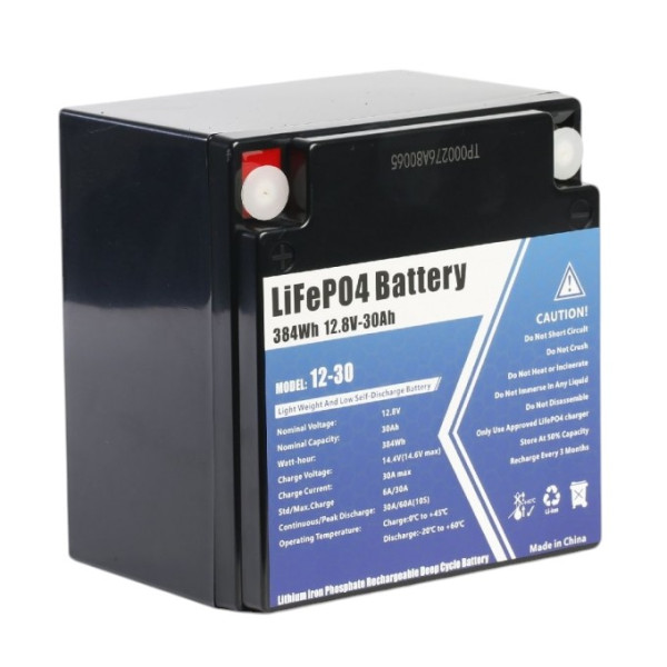 Акумуляторна батарея Challenger LiFePO4 LF 12-30 (12В/30Аг)